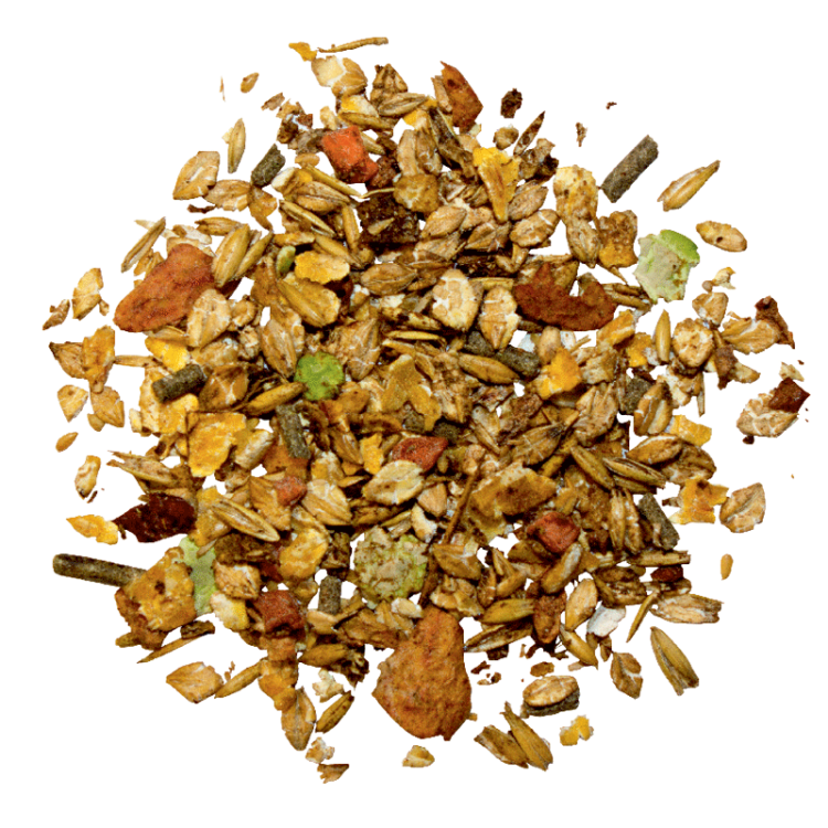 Senior Plus - pasza dla starszych koni