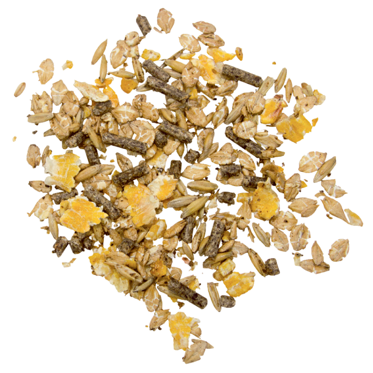 marstall alpaka co pasza dla alpak, lam, wielbłądów 15kg