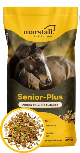 Senior Plus.jpg