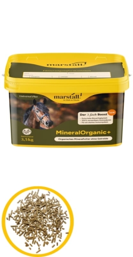 Marstall MineralOrganic+ 3,5kg- organiczna pasza mineralno-aminokwasowa