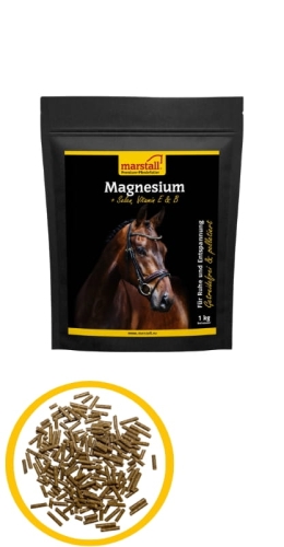 Marstall Magnesium 1 kg - organiczny Magnez dla koni nerwowych, nadpobudliwych
