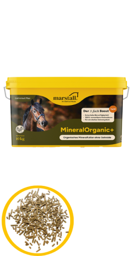 Marstall MineralOrganic+ 10kg- minerały + witaminy + aminokwasy dla koni