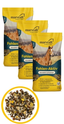 fohlen-aktive-musli-dla-żrebiąt-bezbożowe