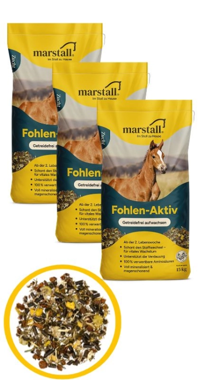 fohlen-aktive-musli-dla-żrebiąt-bezbożowe