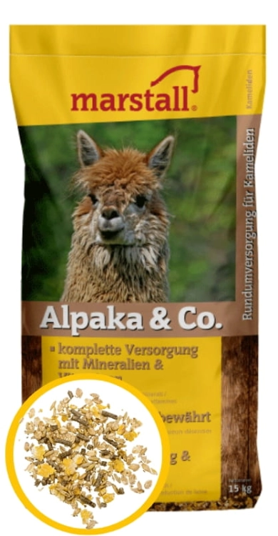 ALPAKA.jpg