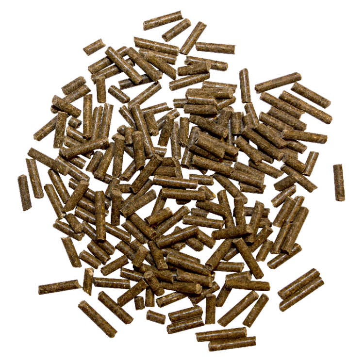 Marstall Magnesium 1 kg - organiczny Magnez dla koni nerwowych, nadpobudliwych