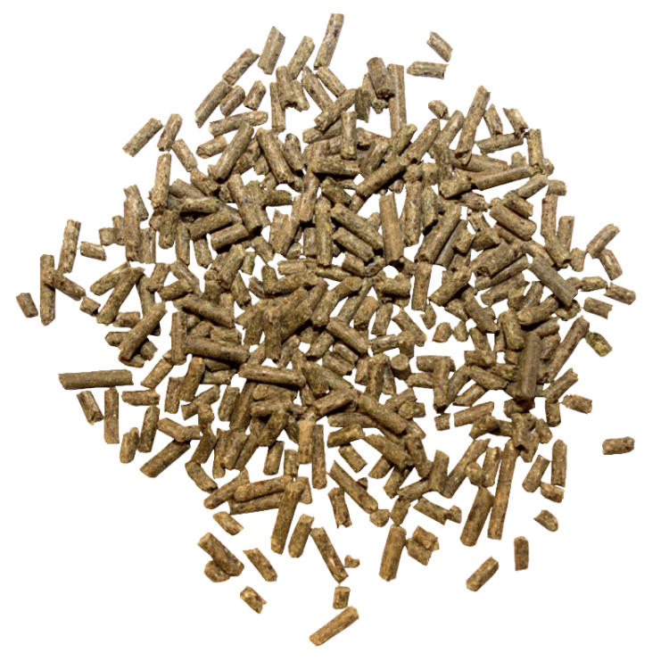 Marstall Force 10 kg WIADRO - witaminy i minerały dla koni